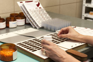 Farmacia CSS El Pino
